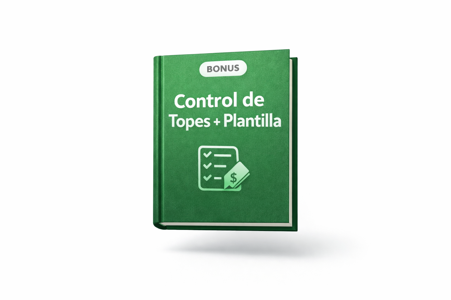 Bonus 5: Plantilla Control Mensual